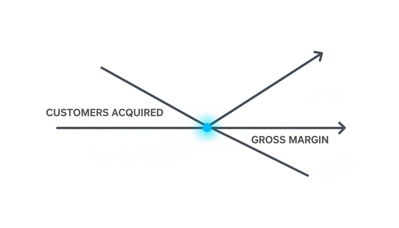 Diagram showing the crossover point where raising prices reduces customer count but improves gross margin