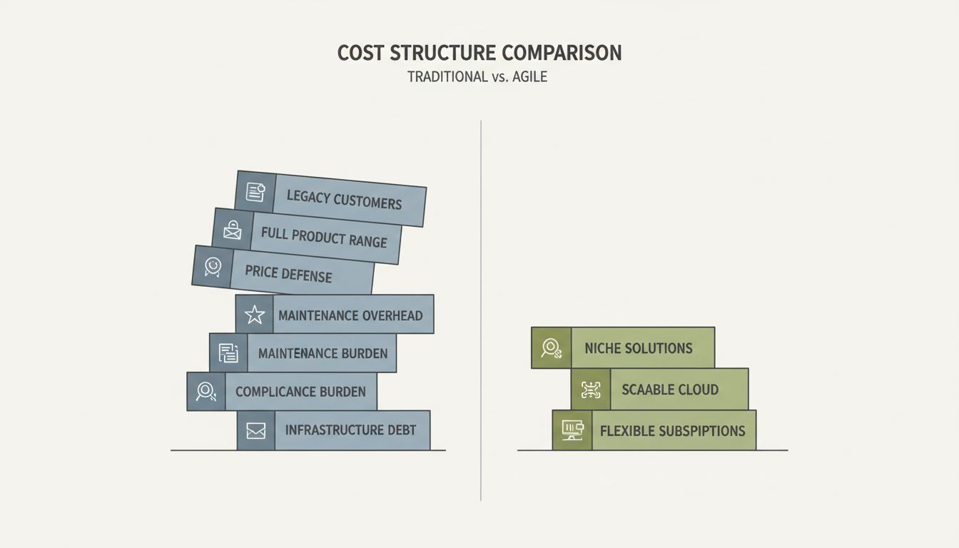 Diagram comparing the heavy cost structure of a market leader versus the lean cost structure of a focused challenger
